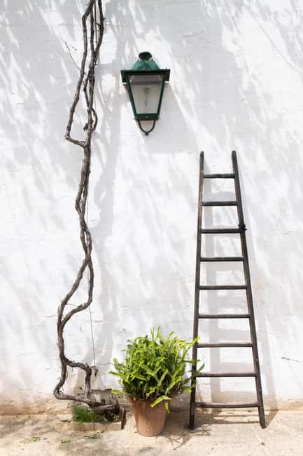 Seville: Check out Bodegas Góngora - From the Brandies Cellar to Historic Cellars