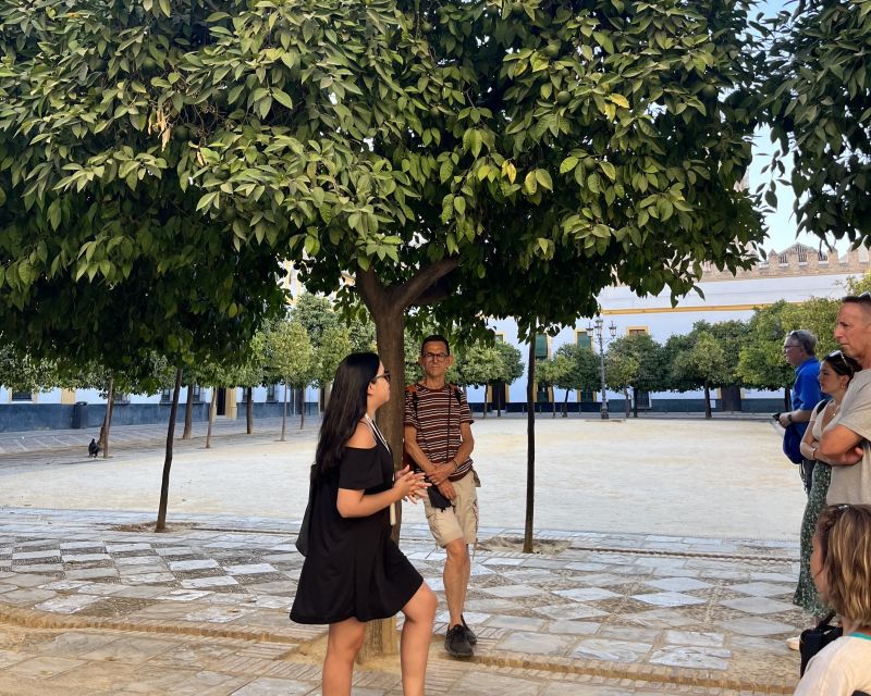 Seville: City Highlights Private Walking Tour - Visiting the University of Seville and Its Surroundings