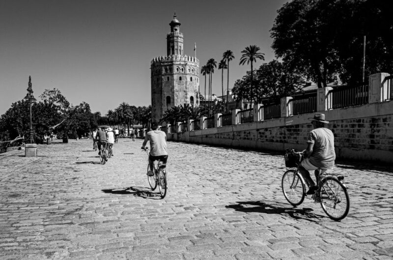 Seville: City Sightseeing and Local Culture Bike Tour - Strolling Through Parque de María Luisa and Plaza de España