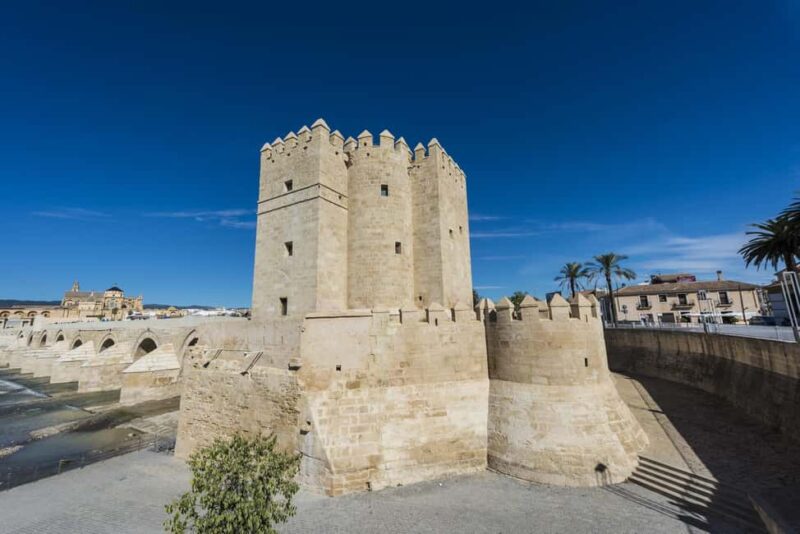 Seville: Cordoba Private & Fully Customizable Day Trip - Discover Cordoba in a Private, Fully Customizable Day Trip from Seville