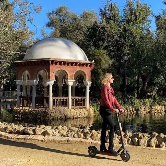 Seville: Electric Bike City Tour - Accessibility and Practical Considerations