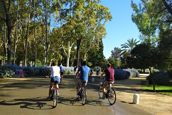 Seville Electric Bike Small Group Tour - Practical Details and Tips for the Tour