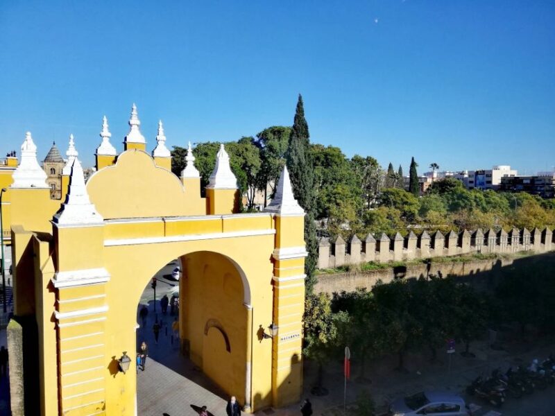 Seville: Entry Ticket to the Macarena Museum and City Tour - Key Points
