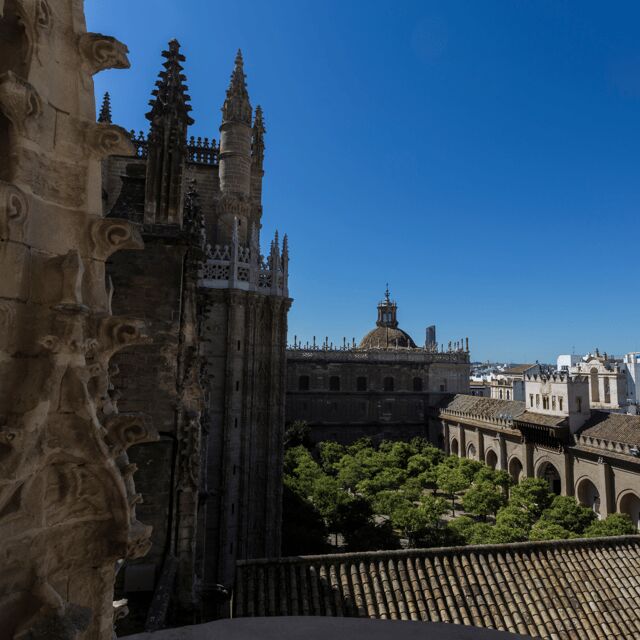 Seville: Fast Track Cathedral Giralda Tower Last minute Tour - Frequently Asked Questions