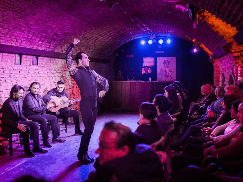 Seville: Flamenco Dreams Show with Drink in an Arabic Vault - The Passionate Flamenco Performers and Their Costumes