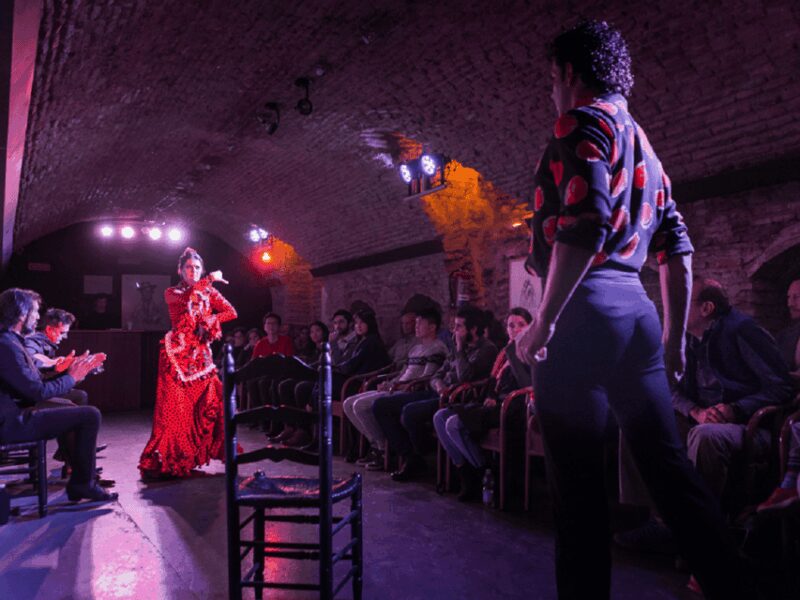 Seville: Flamenco Dreams Show with Drink in an Arabic Vault - Accessibility and Child Restrictions