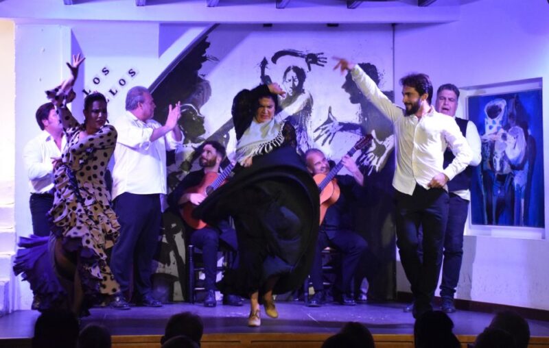 Seville: Flamenco Show at Tablao Los Gallos - The Performers and Their Artistic Craft