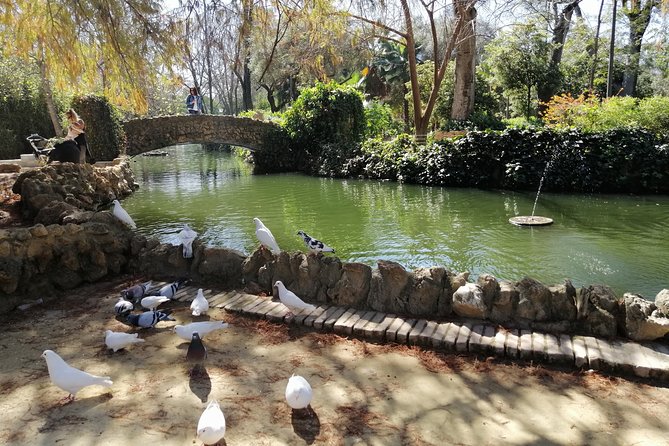 Seville Full Day Tour - Practical Details: Group Size, Cost, and Booking