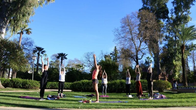 Seville: Group Yoga Classes All Levels - What to Bring and Equipment Details