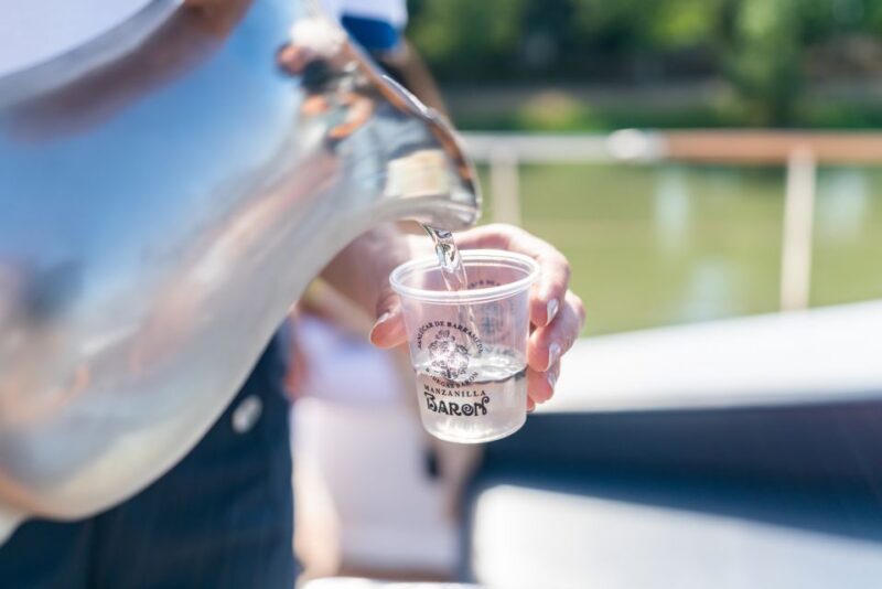 Seville: Guadalquivir Boat Tour with Optional Lunch/Dinner - Accessibility and Practical Tips