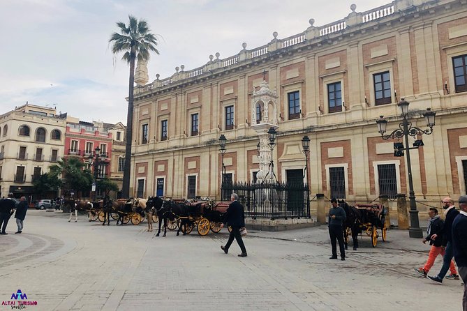 Seville Guided Horse Carriage Private Tour - The Guide and Ride Experience: Knowledge, Style, and Interaction