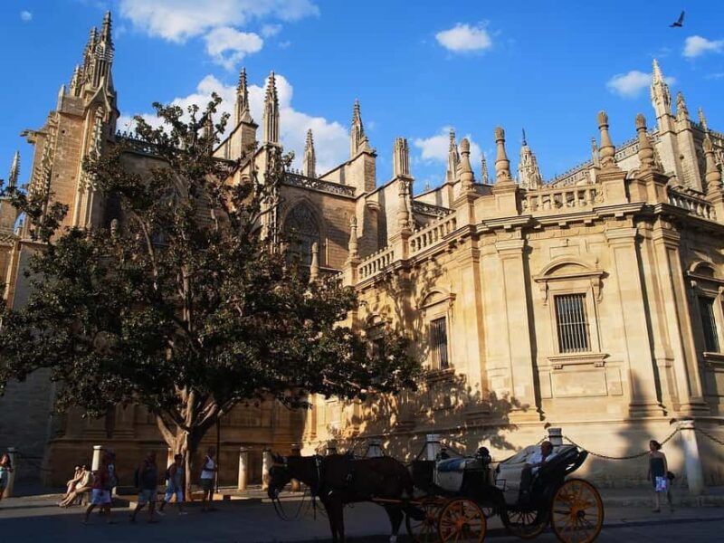 Seville: Guided Walking Tour of the Old Town - Key Points