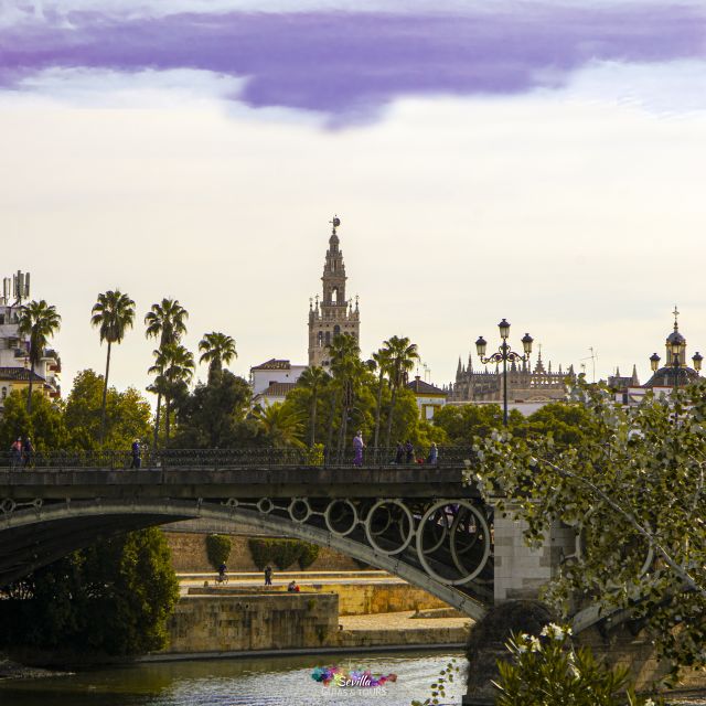 Seville: Guided Walking Tour with Optional Breakfast - Logistics, Group Size, and Accessibility