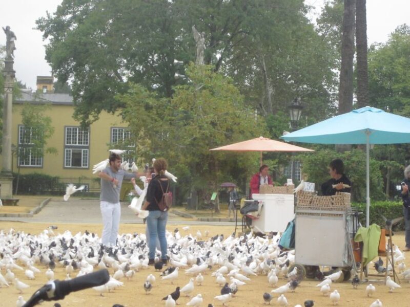 Seville: Highlights City Bike or E-Bike Tour - The Role of Guides and Local Tips