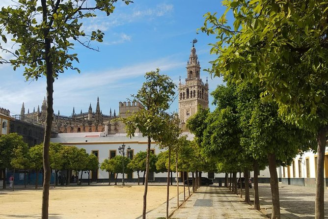 Seville Highlights Private Walking Tour - Starting Point at Plaza Virgen de los Reyes