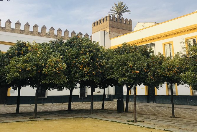 Seville Highlights Private Walking Tour - Logistics and Group Size