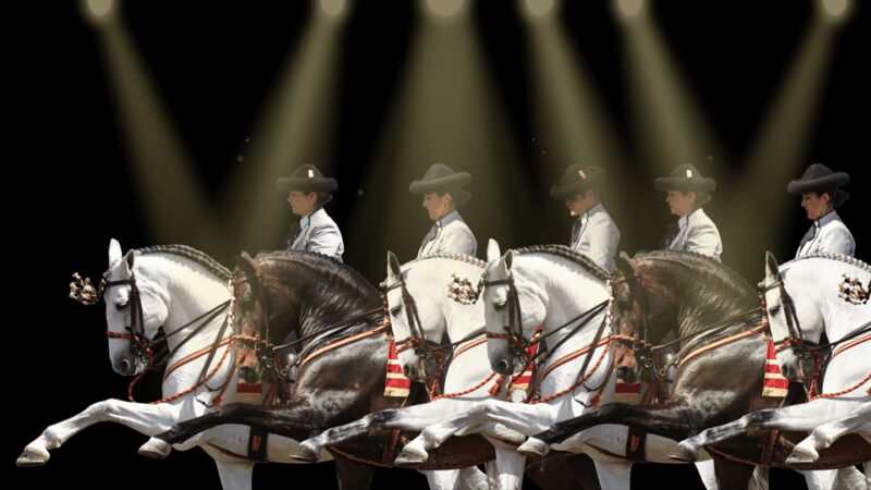 Seville: Horse's Show Entry Ticket. Optional Stud Farm Visit - Frequently Asked Questions