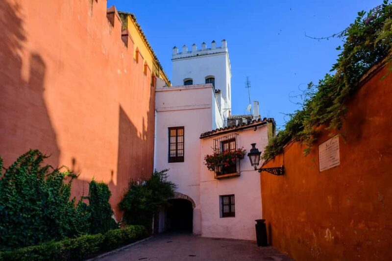 Seville in 1 Day Tour: Historic Center, Monuments, and Jewish Quarter - Who Will Appreciate This Tour Most