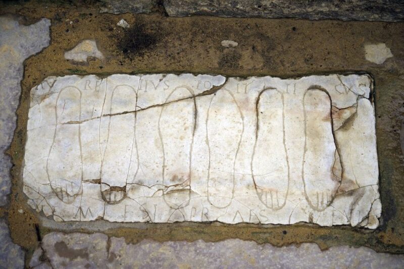 Seville: Italica Roman Ruins City Tour - Exploring the Highlights: The Amphitheater and Ruins