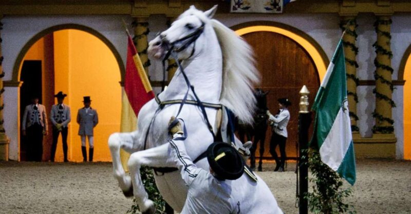 Seville: Jerez, Cadiz Wine Tasting with Optional Horse Show - Seville to Jerez: A Tour of Spain’s Wine Capital