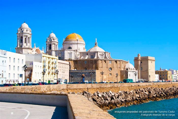 Seville: Jerez, Cadiz Wine Tasting with Optional Horse Show - The Transportation and Itinerary Flow