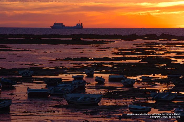 Seville: Jerez, Cadiz Wine Tasting with Optional Horse Show - Practical Details and Booking Flexibility