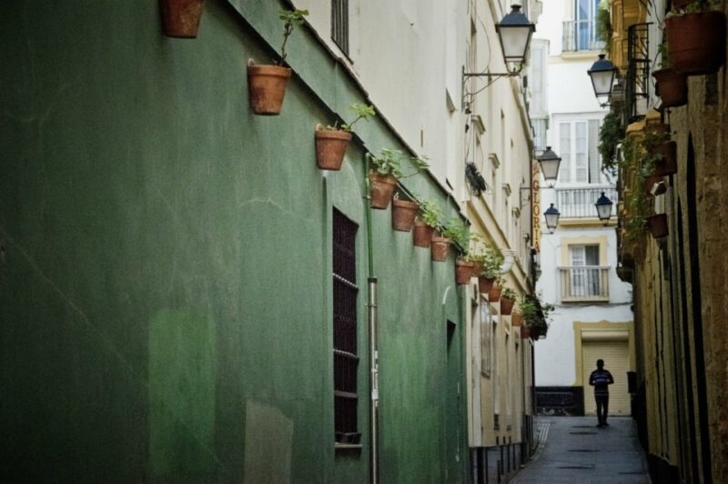 Seville: Jerez, Cadiz Wine Tasting with Optional Horse Show - Value for Money and Overall Impression