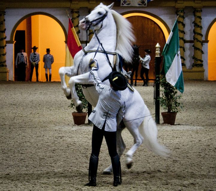 Seville: Jerez, Cadiz Wine Tasting with Optional Horse Show - Who Will Appreciate This Tour Most