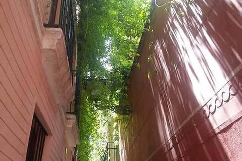 Seville: Jewish Quarter, History & Hidden Corners - Exploring the Narrow Streets and Silent Plazas