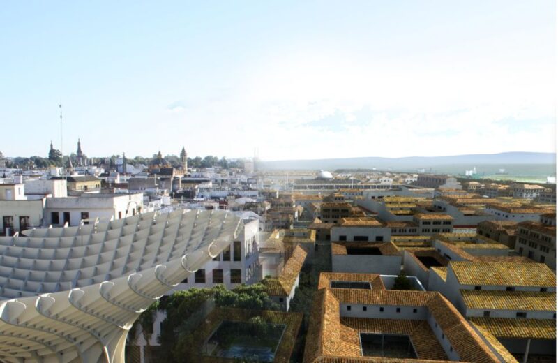 Seville: Las Setas Guided Tour & Optional City Tour - Potential Limitations to Keep in Mind