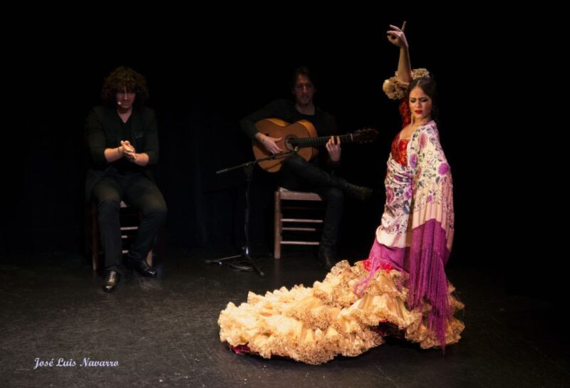 Seville: Live Flamenco Show at "Teatro Flamenco Triana" - Supporting Flamenco Through Your Ticket
