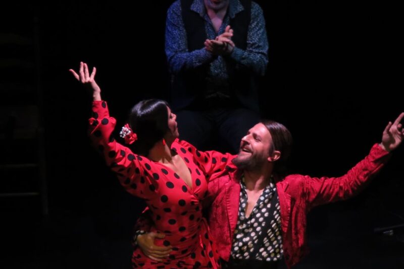Seville: Live Flamenco Show at "Teatro Flamenco Triana" - Who Will Most Enjoy This Flamenco Show?
