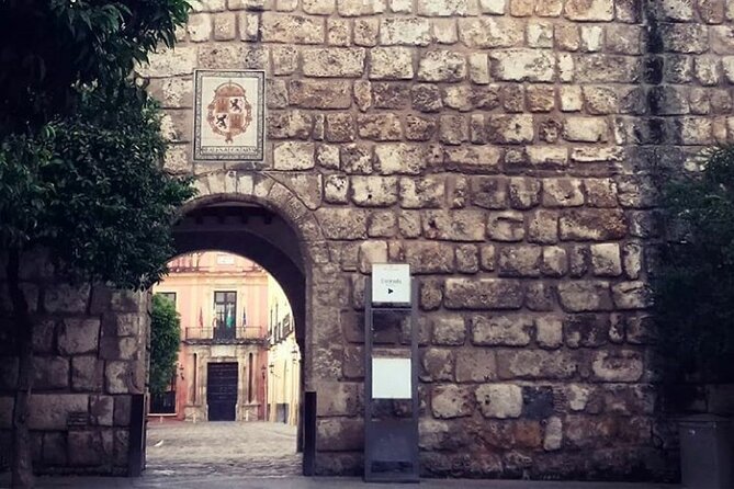 "Seville: Love At First Sight" Private Tour - Key Points