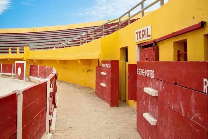 Seville Maestranza Bullring Tour with Audio Guide - The Art Exhibitions in the Hall