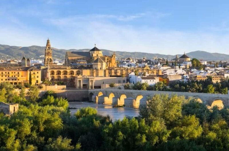 Seville: Metropol Parasol & Triana Private Walking Tour - Final Thoughts: A Compact but Rich Seville Adventure