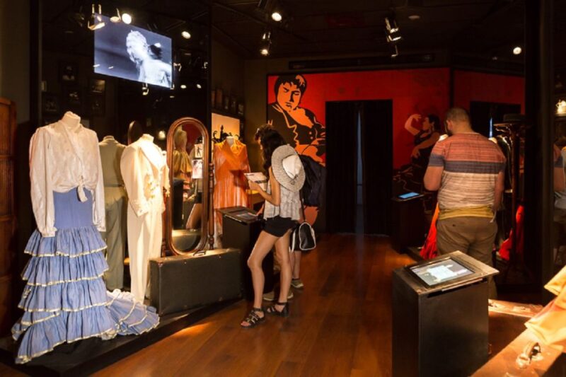 Seville: Museum of Flamenco Dance Admission Ticket - Exploring Flamenco Styles and Costumes