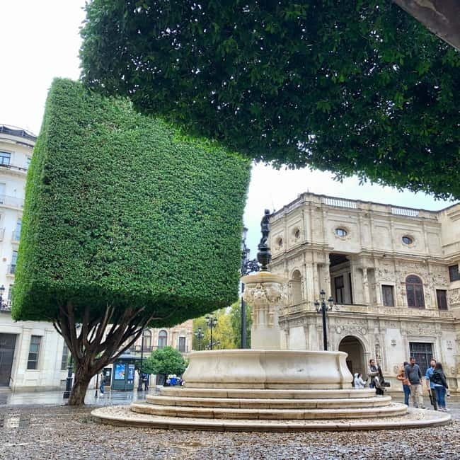 Seville Orientation Private Tour for New Visitors - Exploring Seville’s Town Hall and Plaza Nueva
