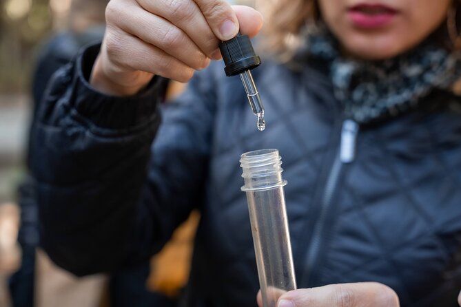 Seville: Outdoor Escape Game - Operation Mindfall - Discover Seville Through a Unique Outdoor Escape Game