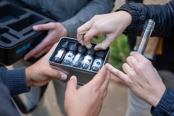 Seville: Outdoor Escape Game - Operation Mindfall - Practical Details and Booking Tips