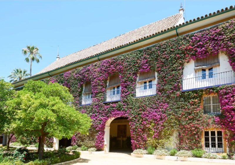 Seville: Palacio de Las Dueñas Entry Ticket and Guided Tour - The Experience Guide: Knowledgeable and Engaging