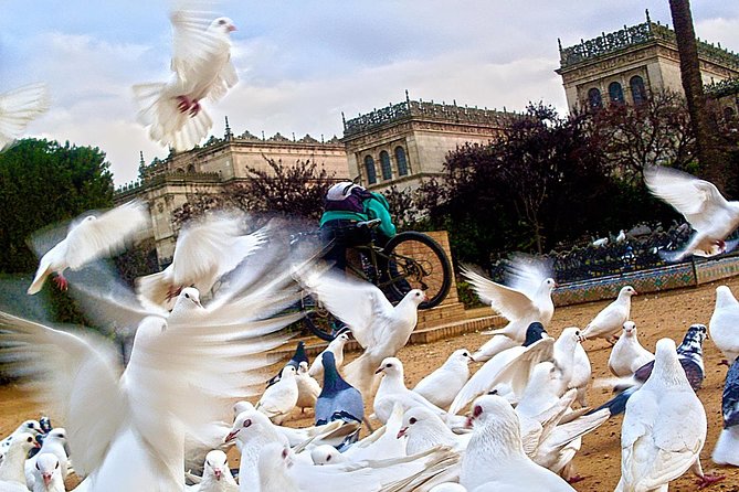 Seville Panoramic Walking Tour - Photo Opportunities at Plaza de Espana and Parque de Maria Luisa