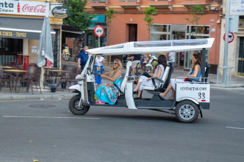Seville: Private City Tour by Eco Tuk Tuk - The Stops that Make the Tour Special