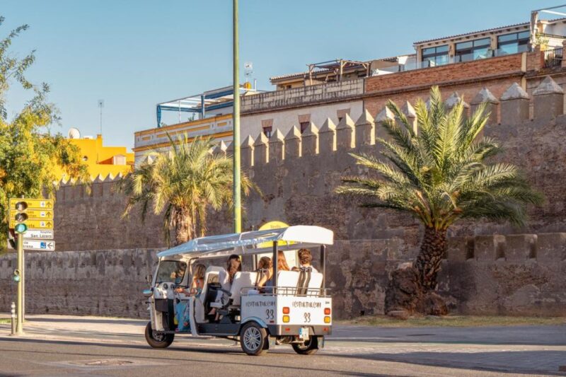 Seville: Private City Tour by Eco Tuk Tuk - Frequently Asked Questions