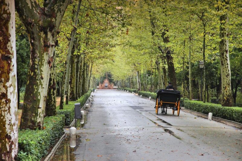 Seville: Private E-Bike City Highlights Tour - Cycling Through the Triana Neighborhood