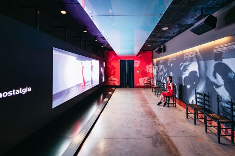 Seville: Puro Flamenco Show with Optional Museum Ticket - Visiting the Flamenco Dance Museum: An Optional Cultural Addition