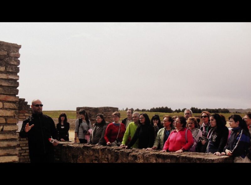 Seville: Roman City of Itálica 2 Hour Tour - Key Points