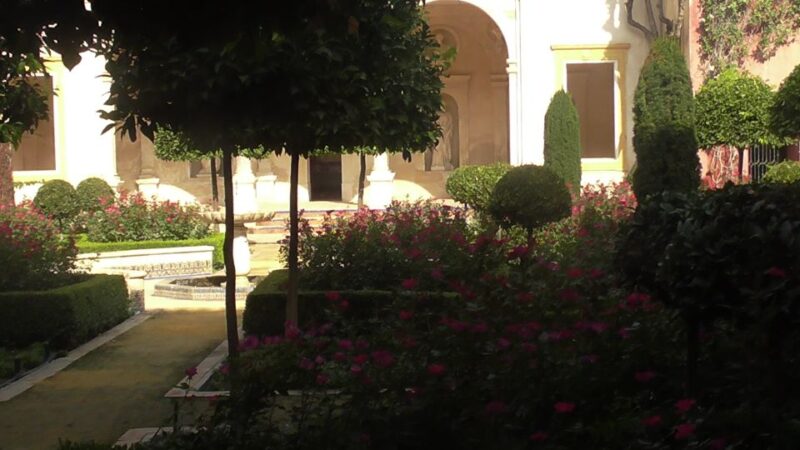 Seville: Salvador Church, Casa Pilatos, and Metropol Tour - Practical Details: Meeting Point and Group Options