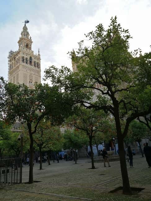 SEVILLE: SANTA MARIA DE LA SEDE CATHEDRAL TOUR - Guided Tour of the Seville Cathedral with Expert Guides