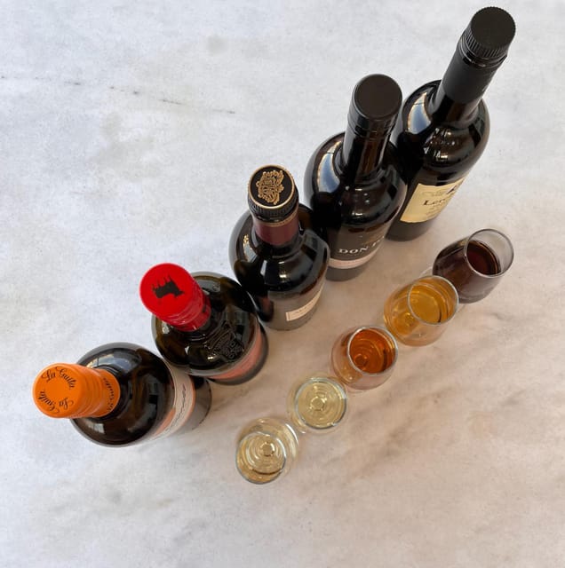 Seville: Sherry Wine Tasting with Light Snacks - Heritage and Production of Sherry in Seville