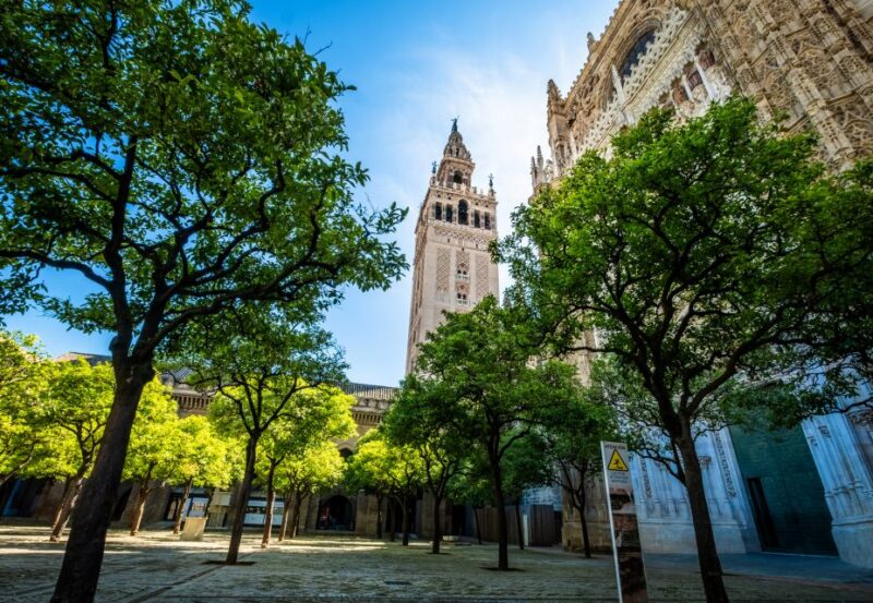 Seville: Small-Group Cathedral and Giralda Tour with Tickets - Practical Details: Meeting Point and Accessibility